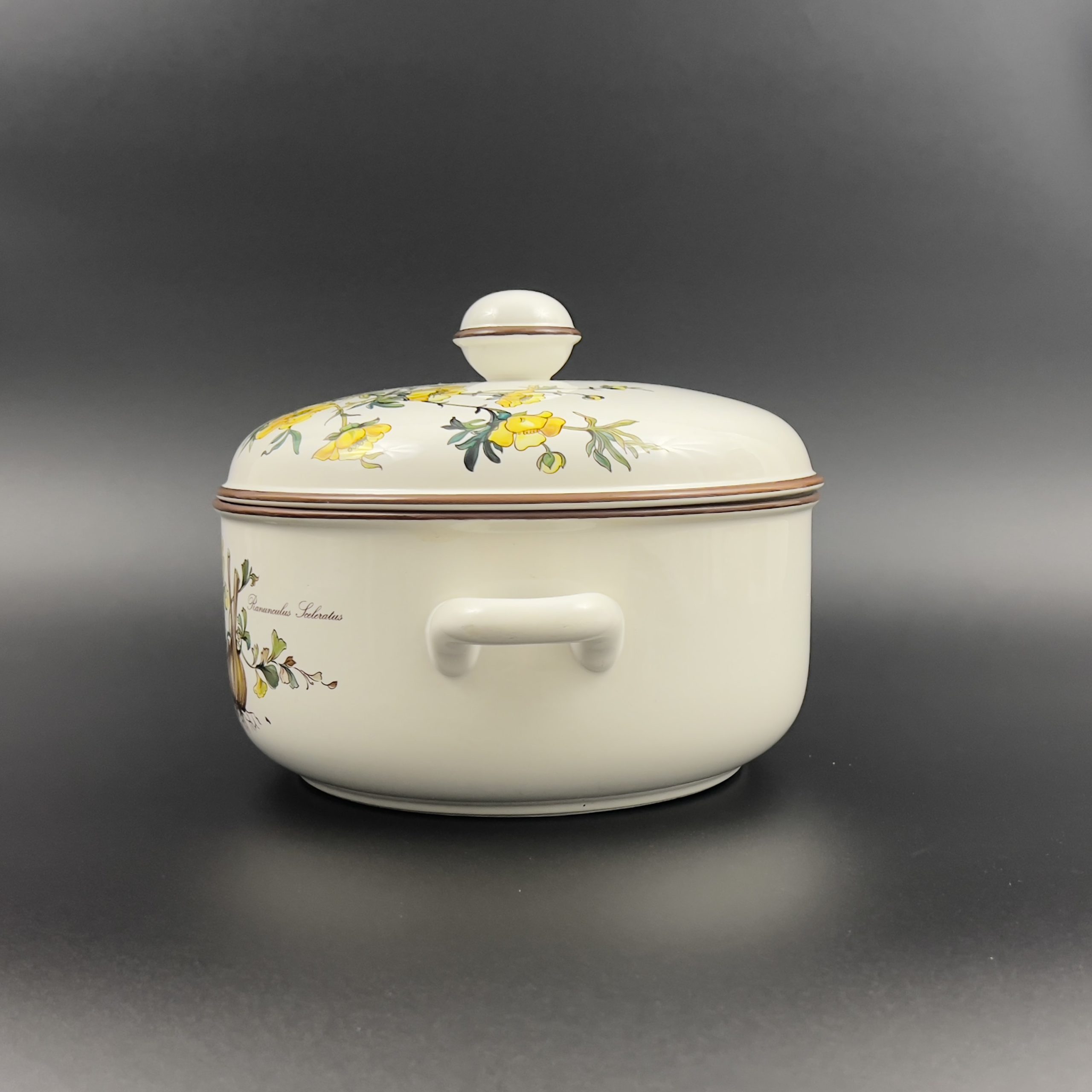 Vintage Villeroy & Boch Botanica Tureen: Yellow Floral Casserole - Image 5