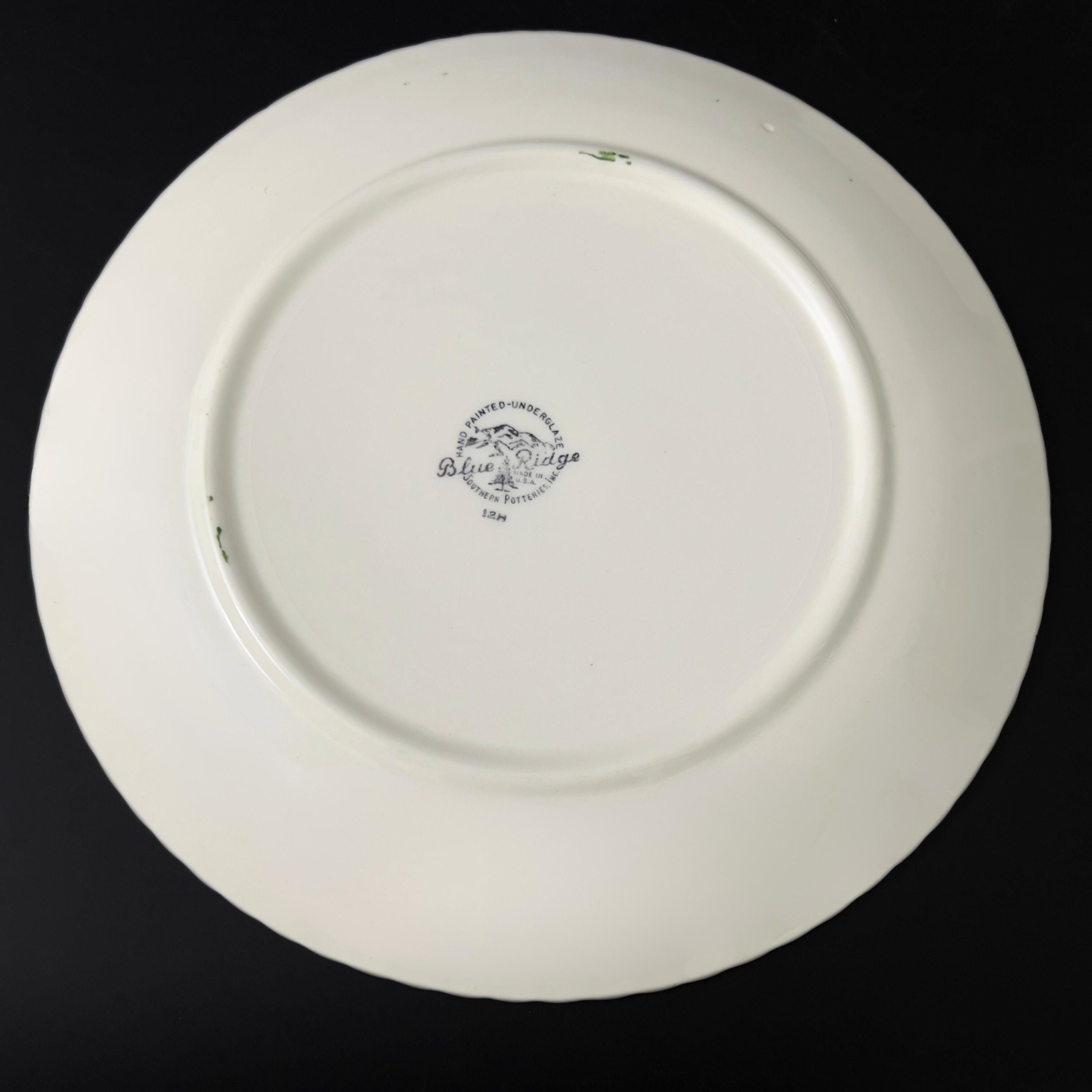 Blue Ridge Quaker Apple Plates: 1940s Folk Art Luncheon Plates, Set of 4 - Image 8