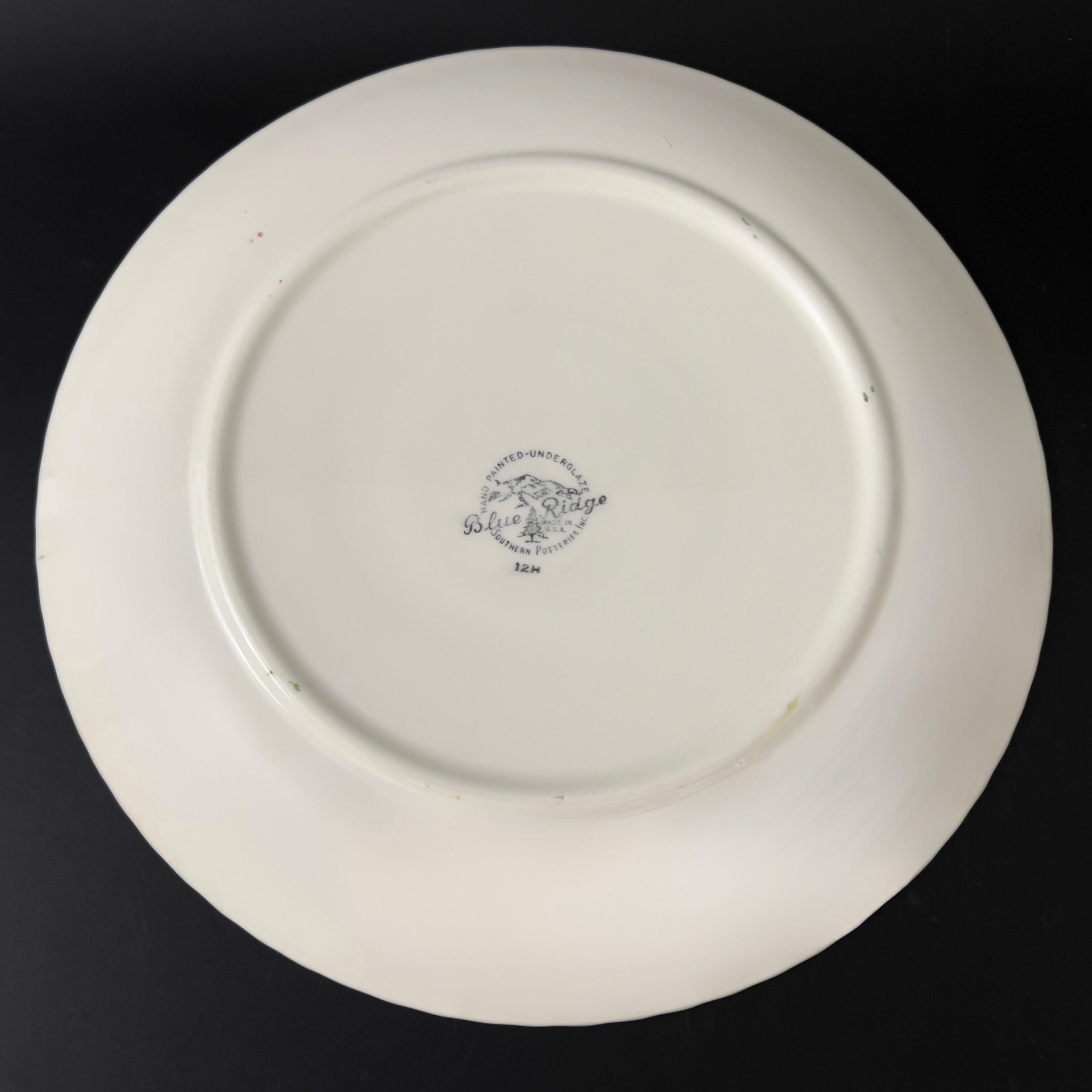Blue Ridge Quaker Apple Plates: 1940s Folk Art Luncheon Plates, Set of 4 - Image 9