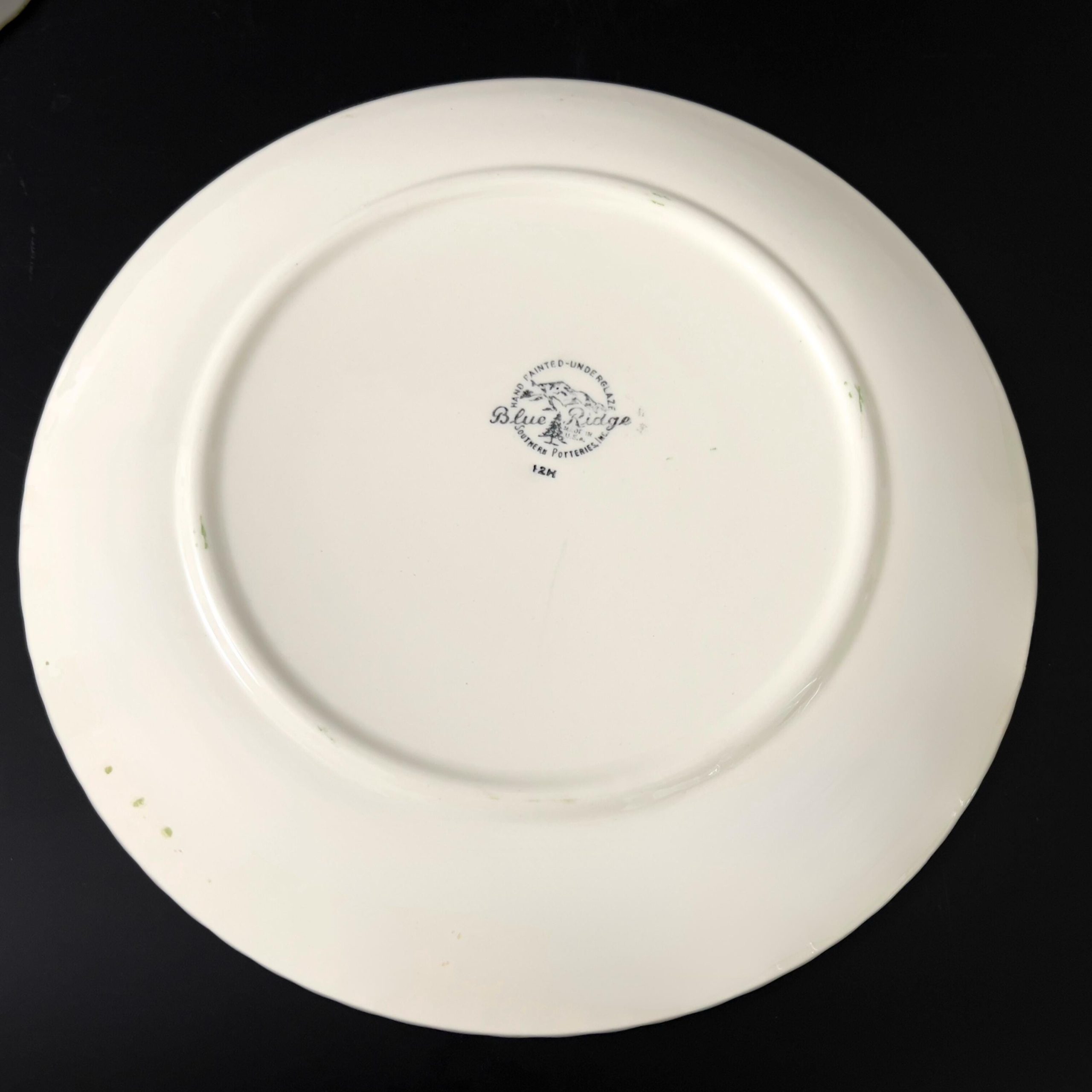 Blue Ridge Quaker Apple Plates: 1940s Folk Art Luncheon Plates, Set of 4 - Image 10