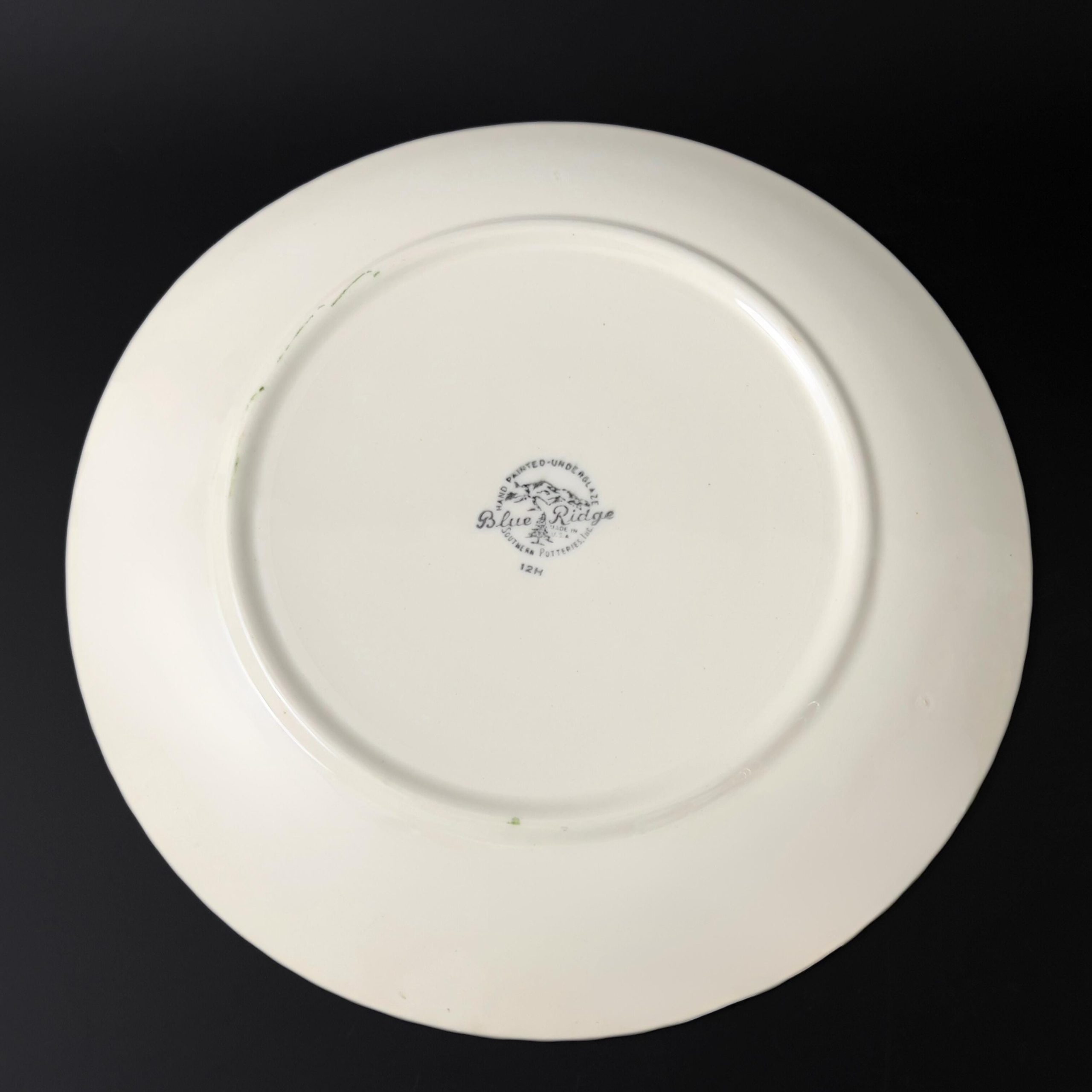 Blue Ridge Quaker Apple Plates: 1940s Folk Art Luncheon Plates, Set of 4 - Image 11
