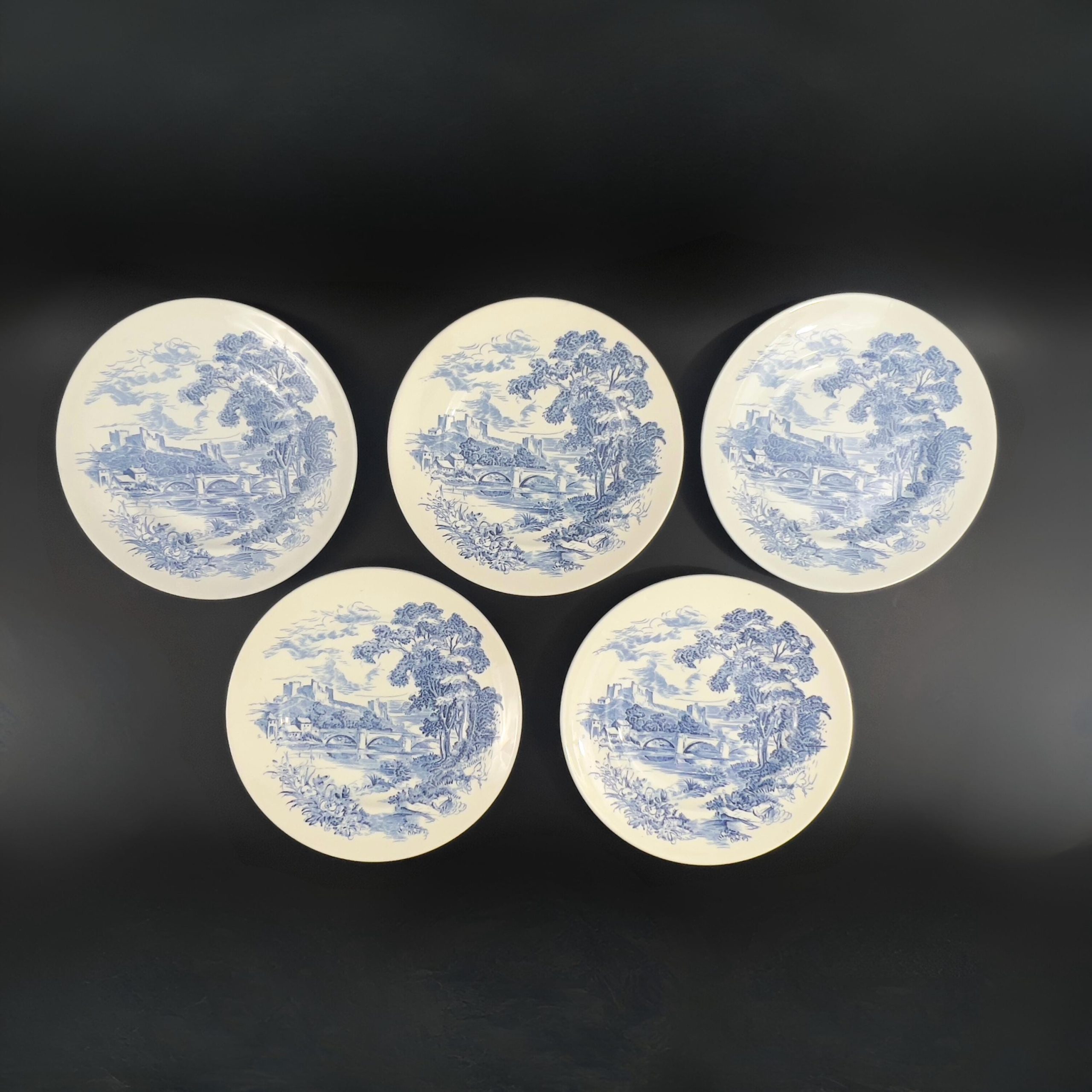Wedgwood Countryside Blue Plates (Set of 5): English Cottage Decor