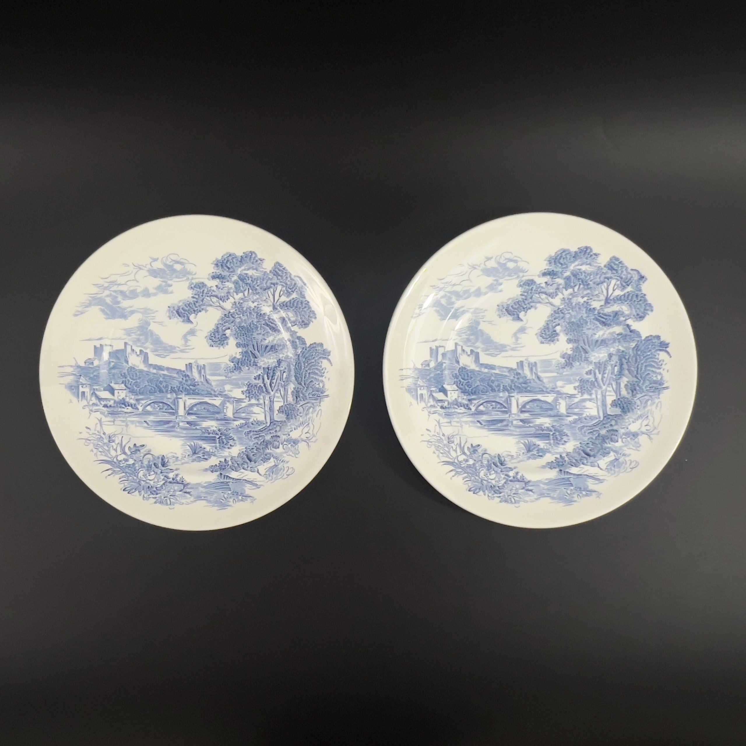 Wedgwood Countryside Blue Plates (Set of 5): English Cottage Decor - Image 5
