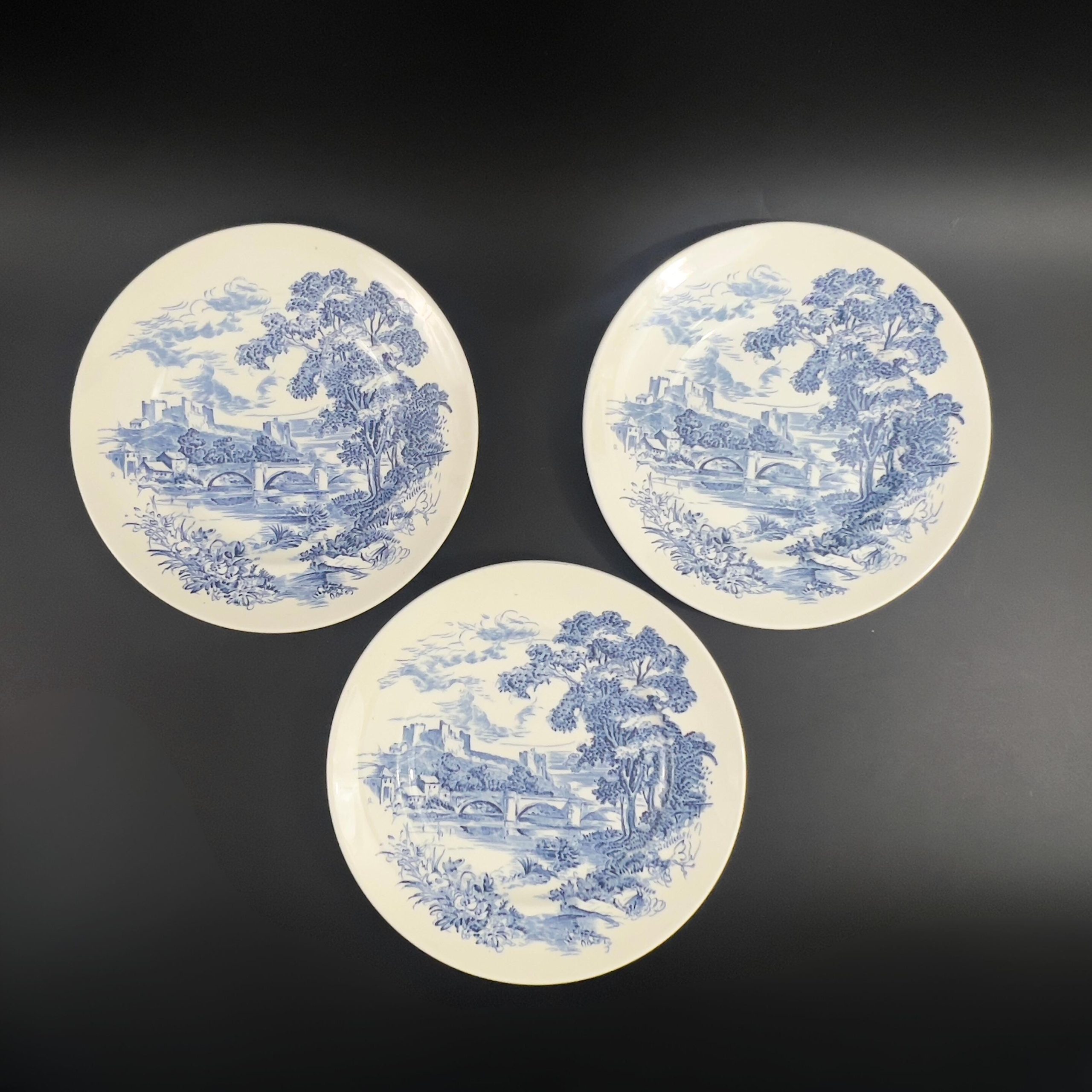 Wedgwood Countryside Blue Plates (Set of 5): English Cottage Decor - Image 4