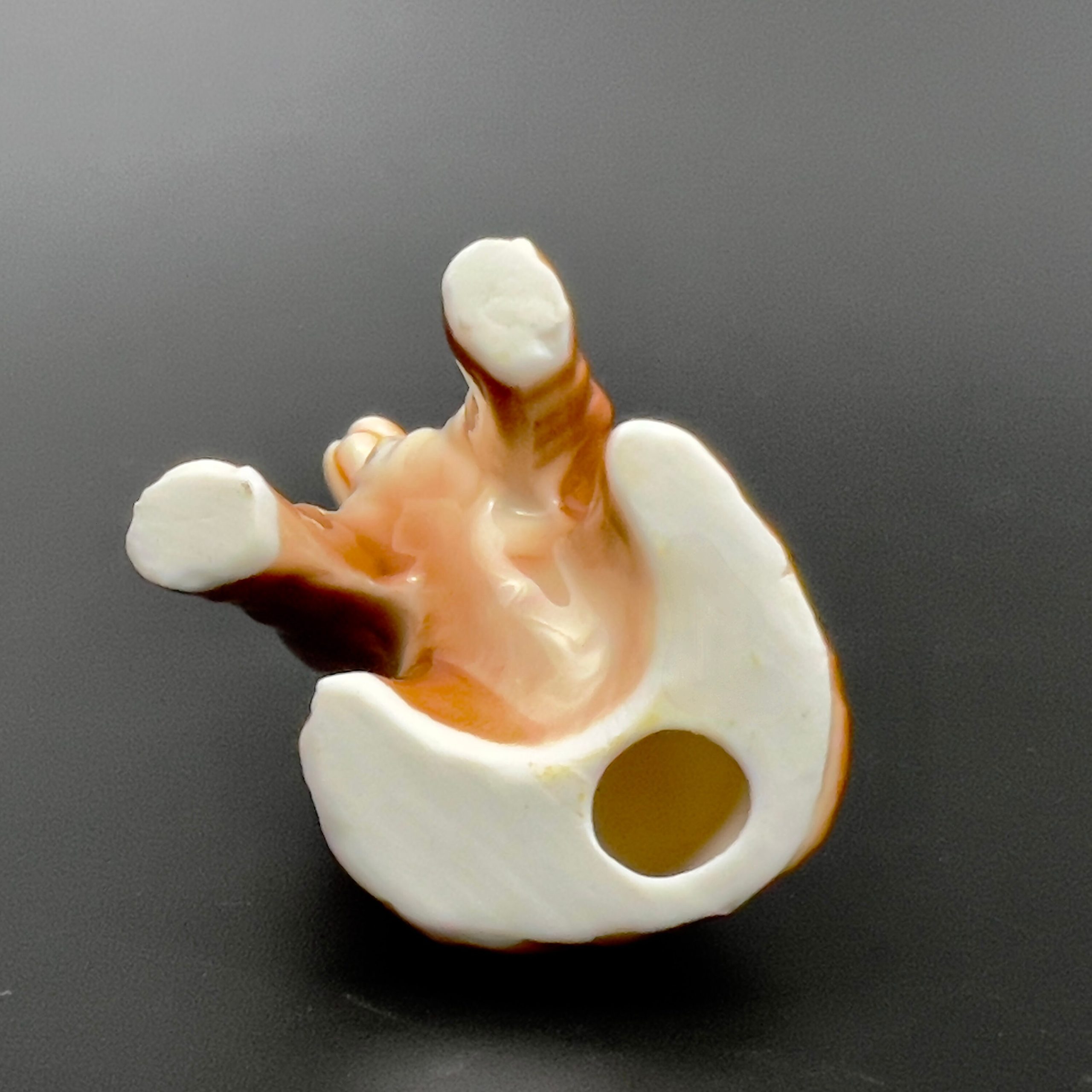 Vintage Porcelain English Cocker Spaniel Figurine: Brown & White - Image 9