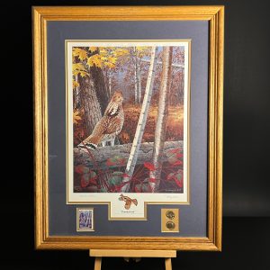 Framed Bird Print by Harry Antis, Hand Signed by Artist, Bird Wall Decor