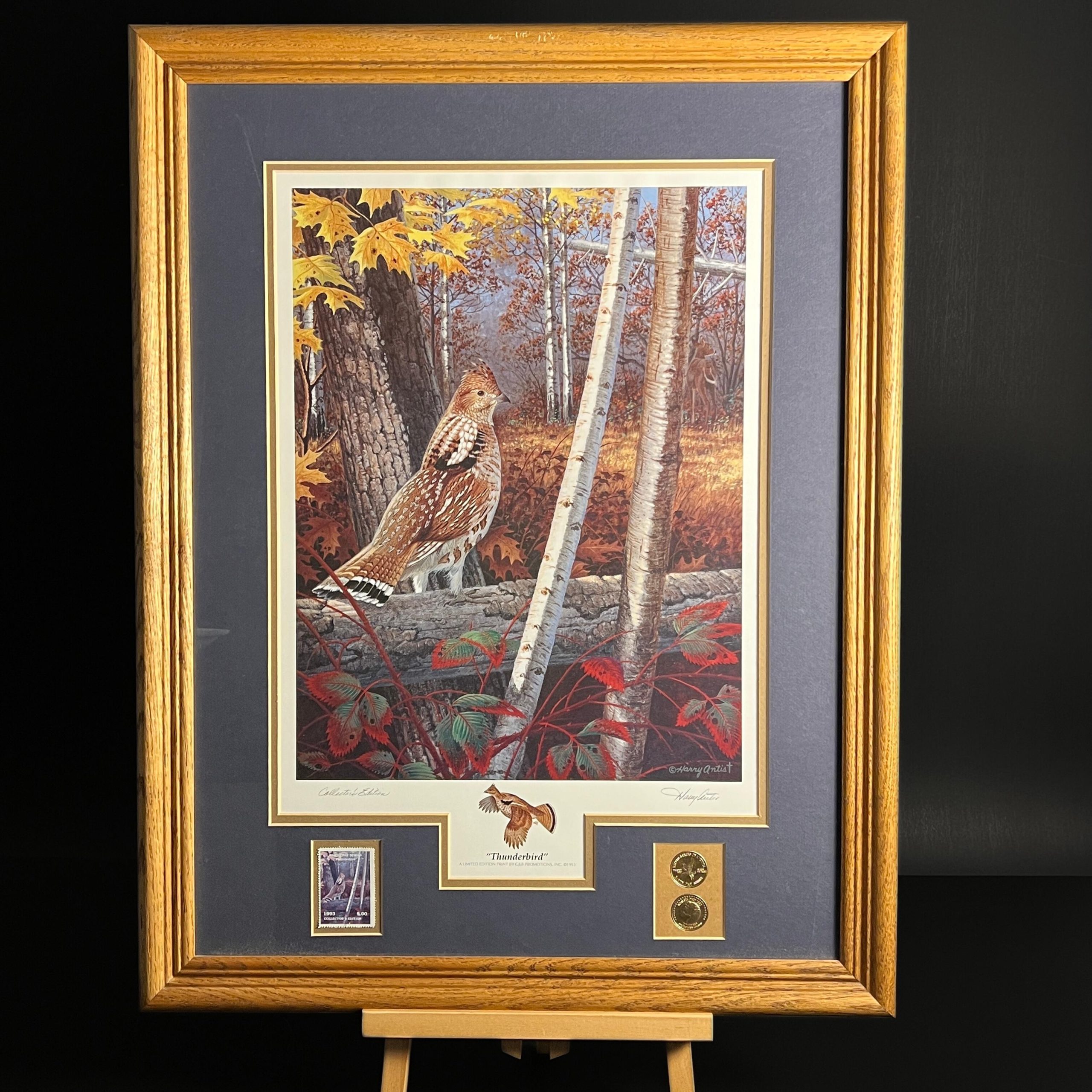 Framed Bird Print by Harry Antis, Hand Signed by Artist, Bird Wall Decor
