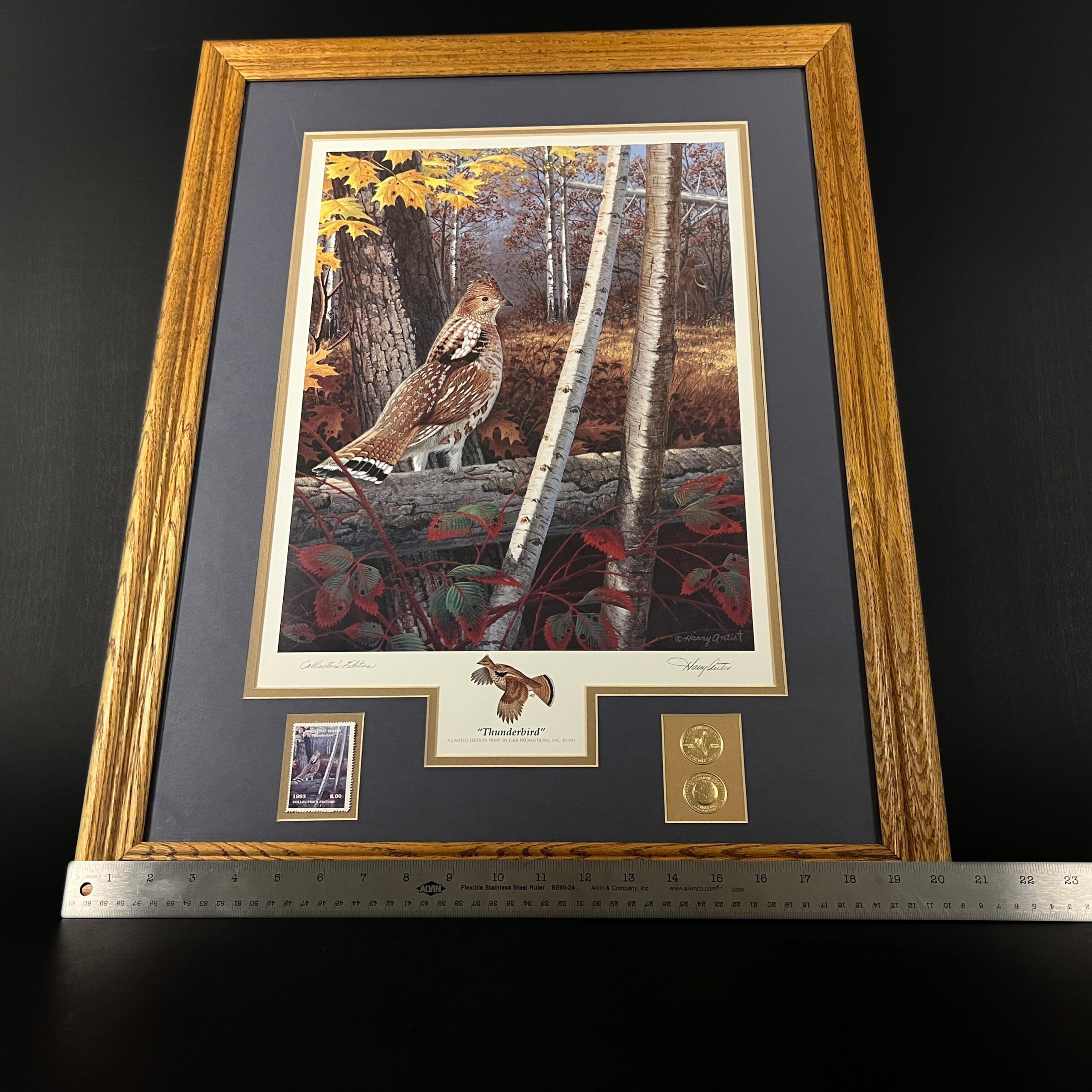 Framed Bird Print by Harry Antis, Hand Signed by Artist, Bird Wall Decor - Image 11