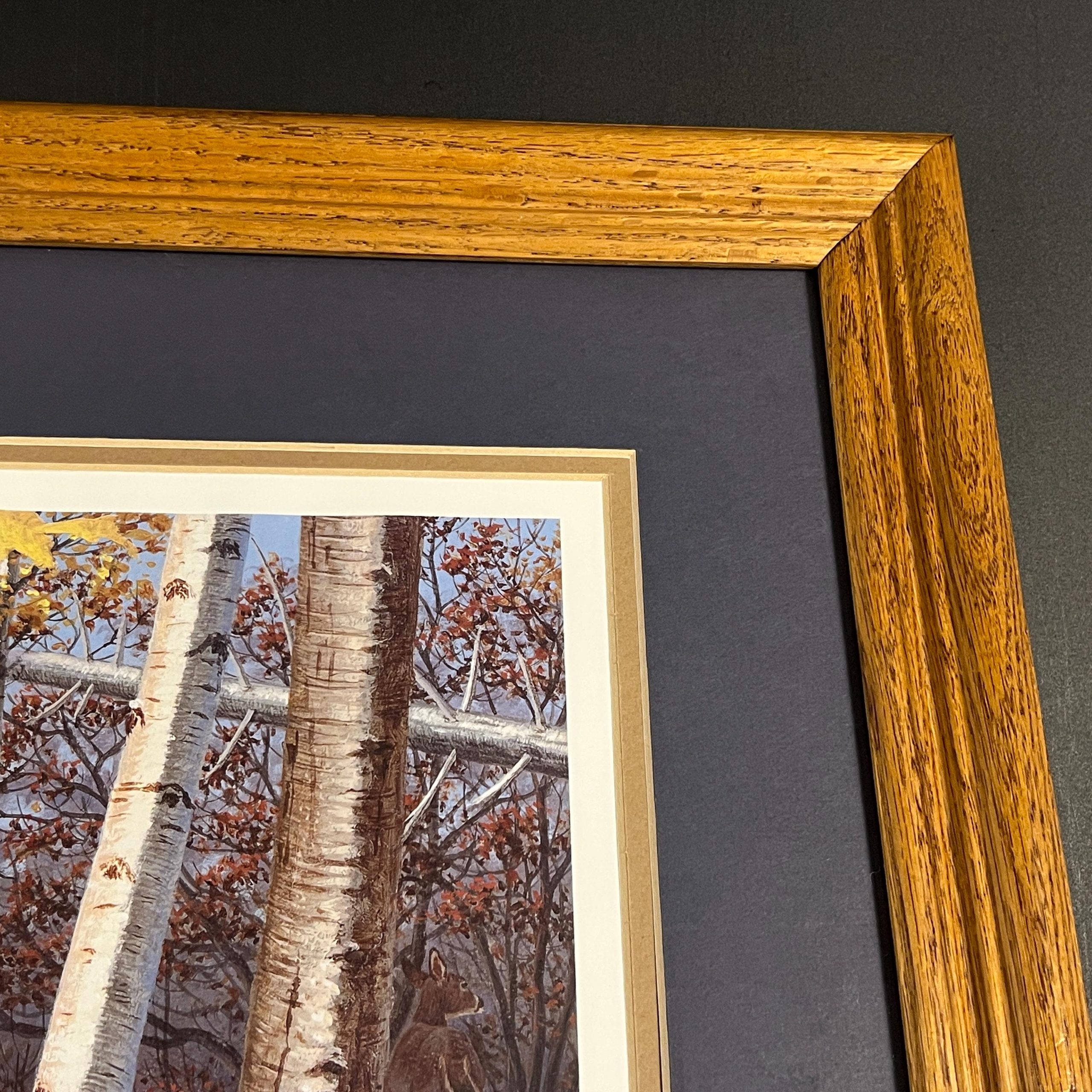 Framed Bird Print by Harry Antis, Hand Signed by Artist, Bird Wall Decor - Image 8