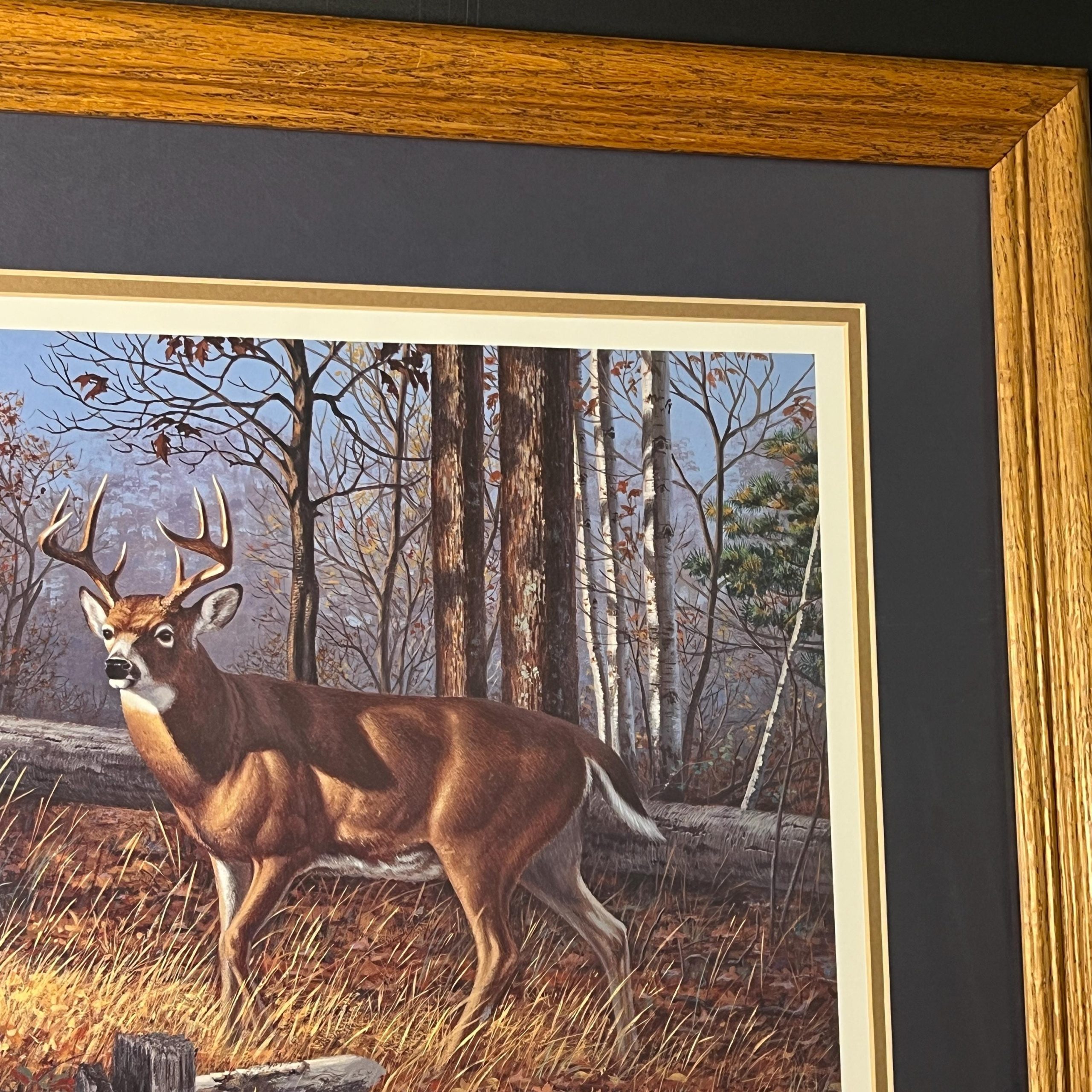 Framed Deer Print by Harry Antis, Hand Signed by Artist, Wildlife Wall Decor - Image 7