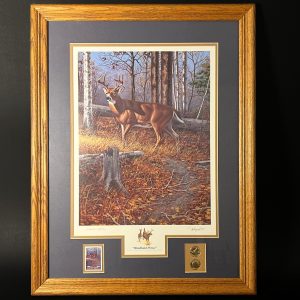 Framed Deer Print by Harry Antis, Hand Signed by Artist, Wildlife Wall Decor