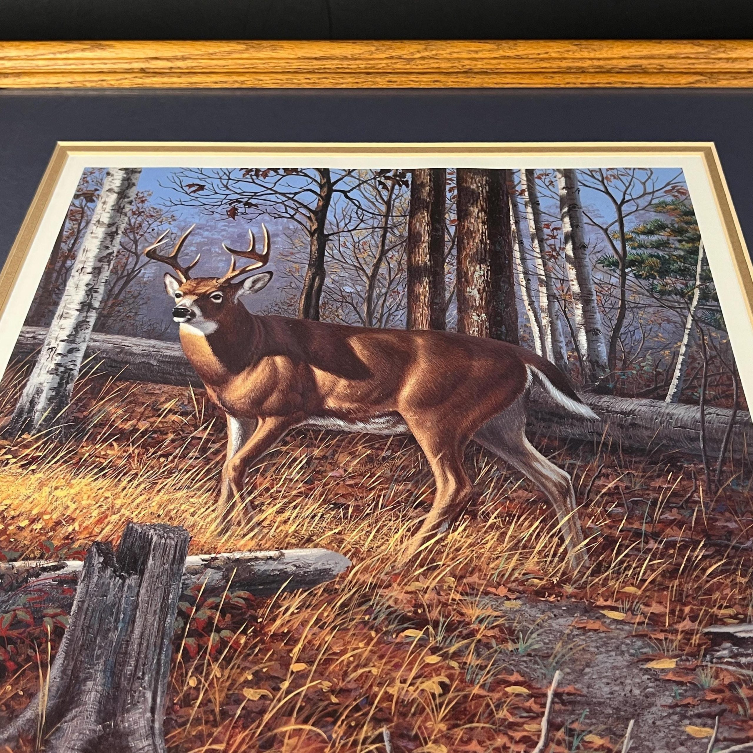 Framed Deer Print by Harry Antis, Hand Signed by Artist, Wildlife Wall Decor - Image 10