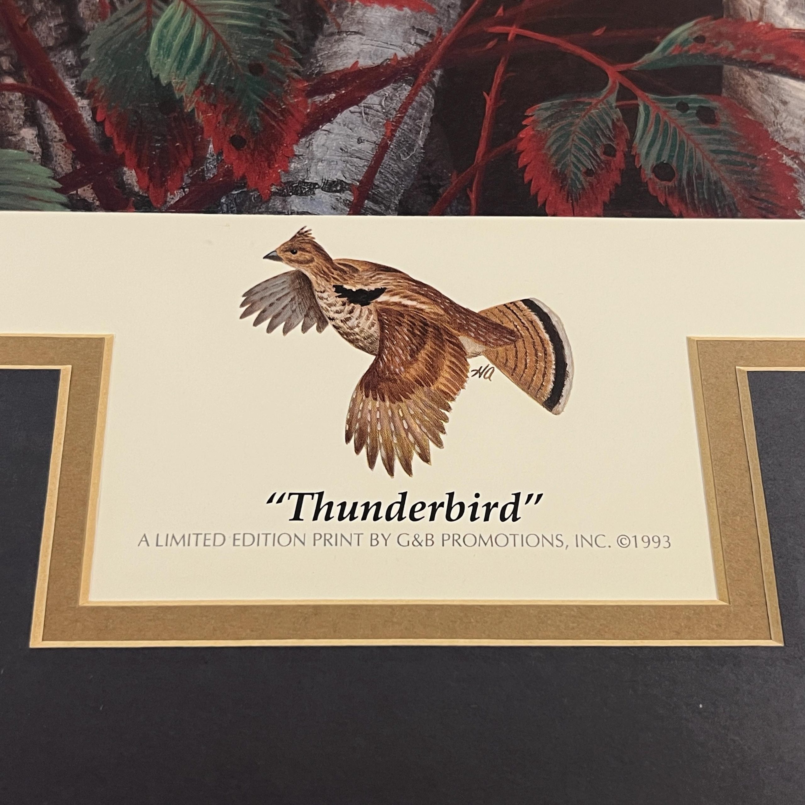 Framed Bird Print by Harry Antis, Hand Signed by Artist, Bird Wall Decor - Image 6