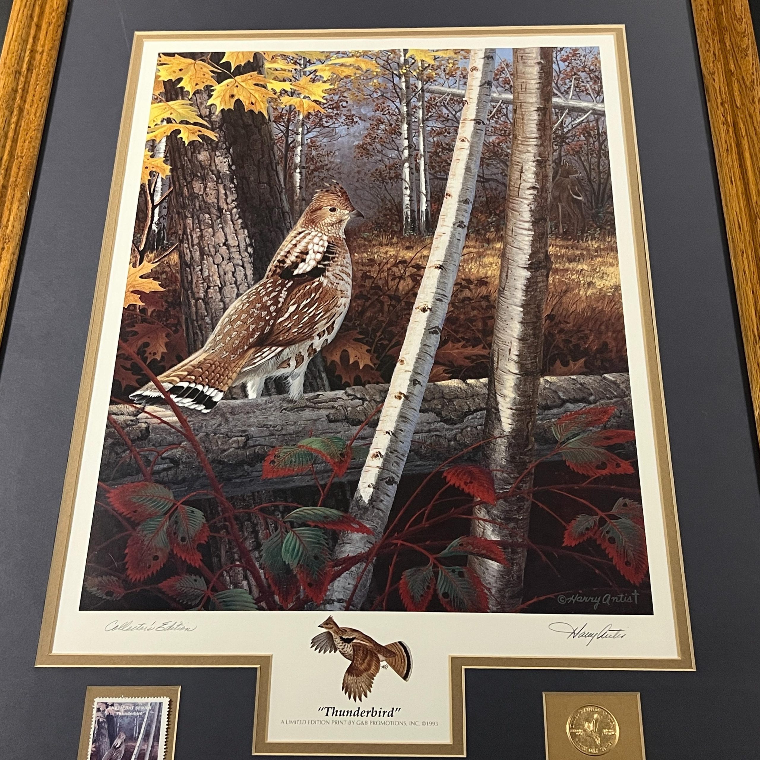 Framed Bird Print by Harry Antis, Hand Signed by Artist, Bird Wall Decor - Image 3