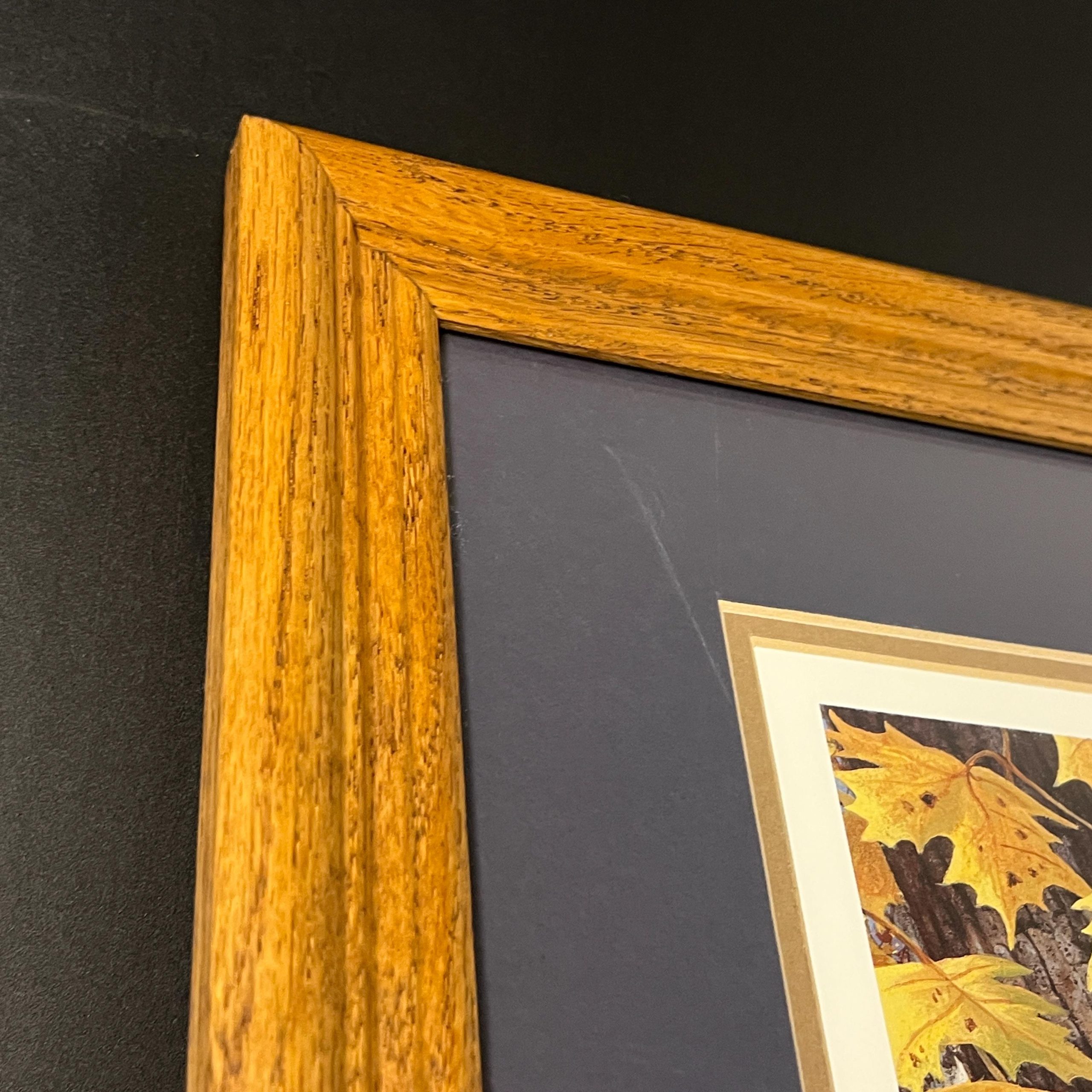 Framed Bird Print by Harry Antis, Hand Signed by Artist, Bird Wall Decor - Image 12