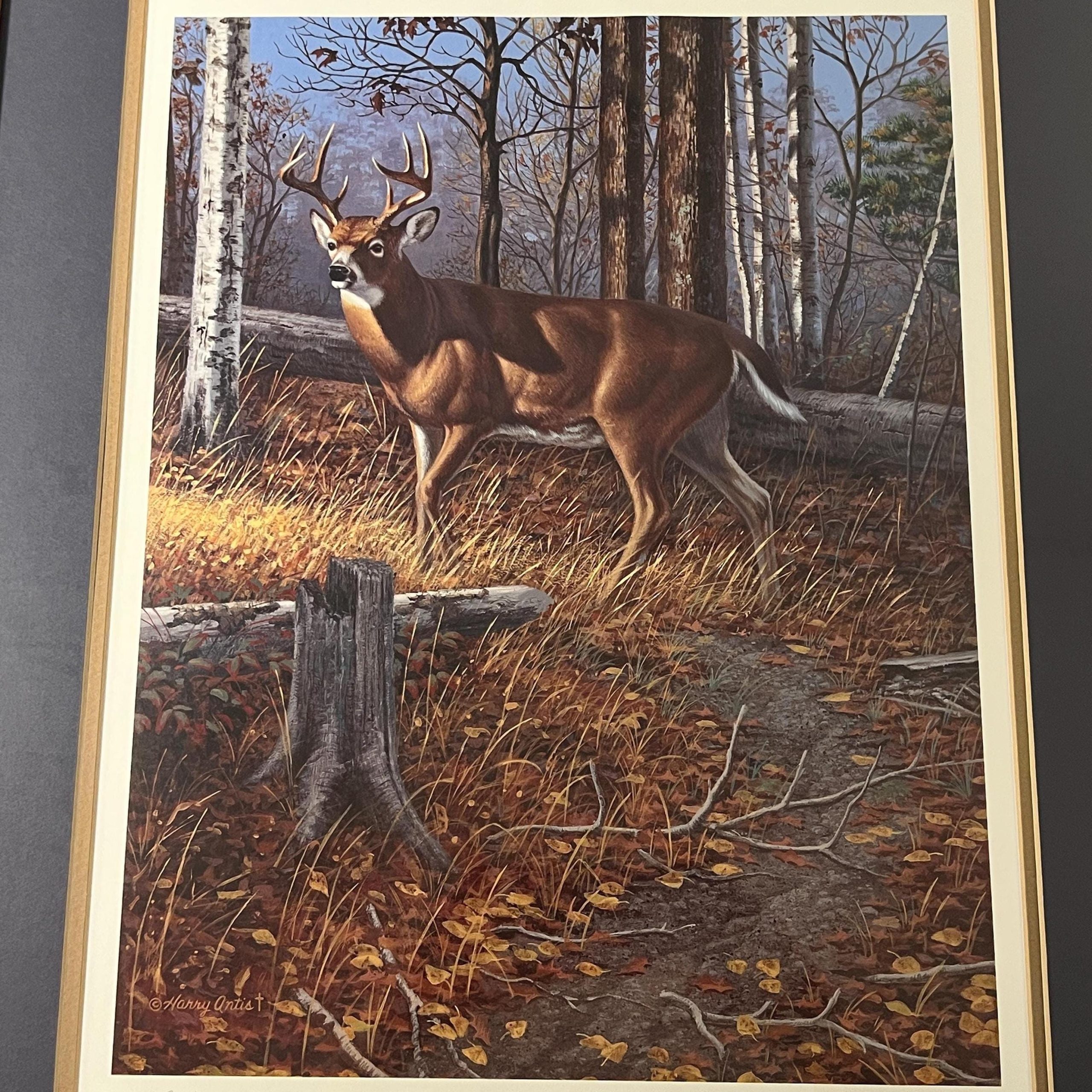 Framed Deer Print by Harry Antis, Hand Signed by Artist, Wildlife Wall Decor - Image 9