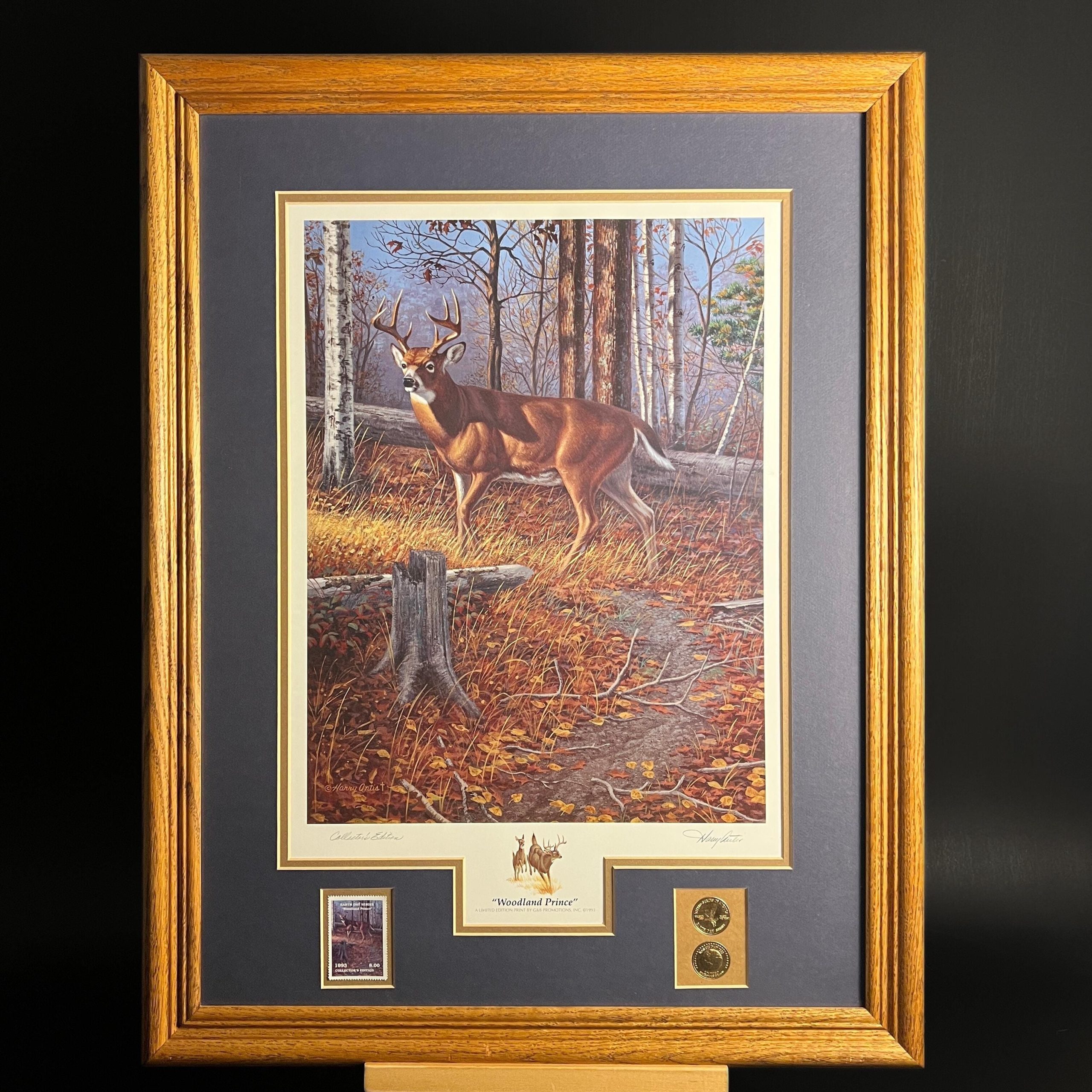 Framed Deer Print by Harry Antis, Hand Signed by Artist, Wildlife Wall Decor - Image 11
